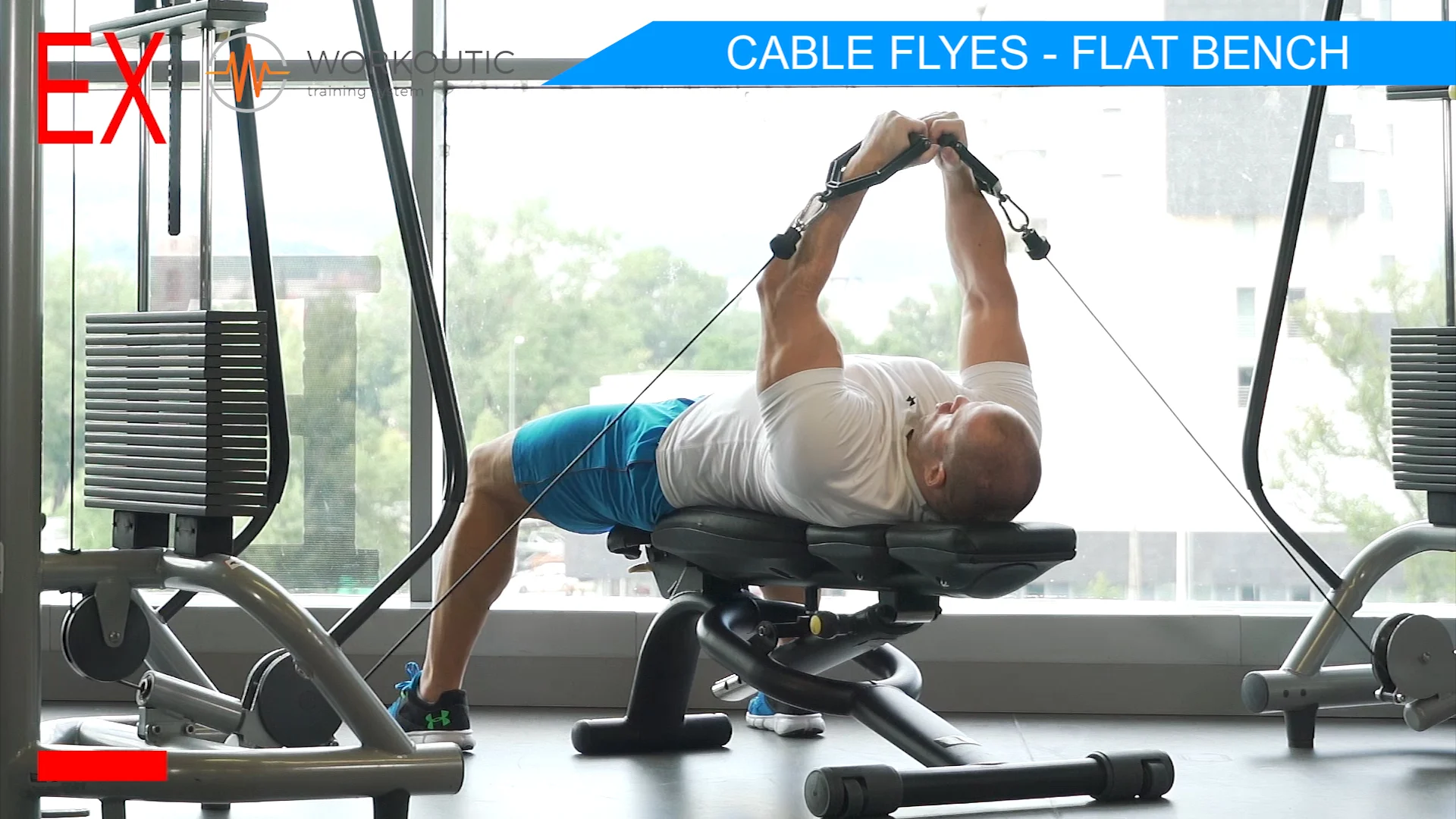 Flat Bench Flye - Muscle & Fitness