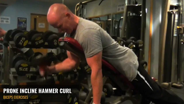 Prone Incline Dumbbell Curl