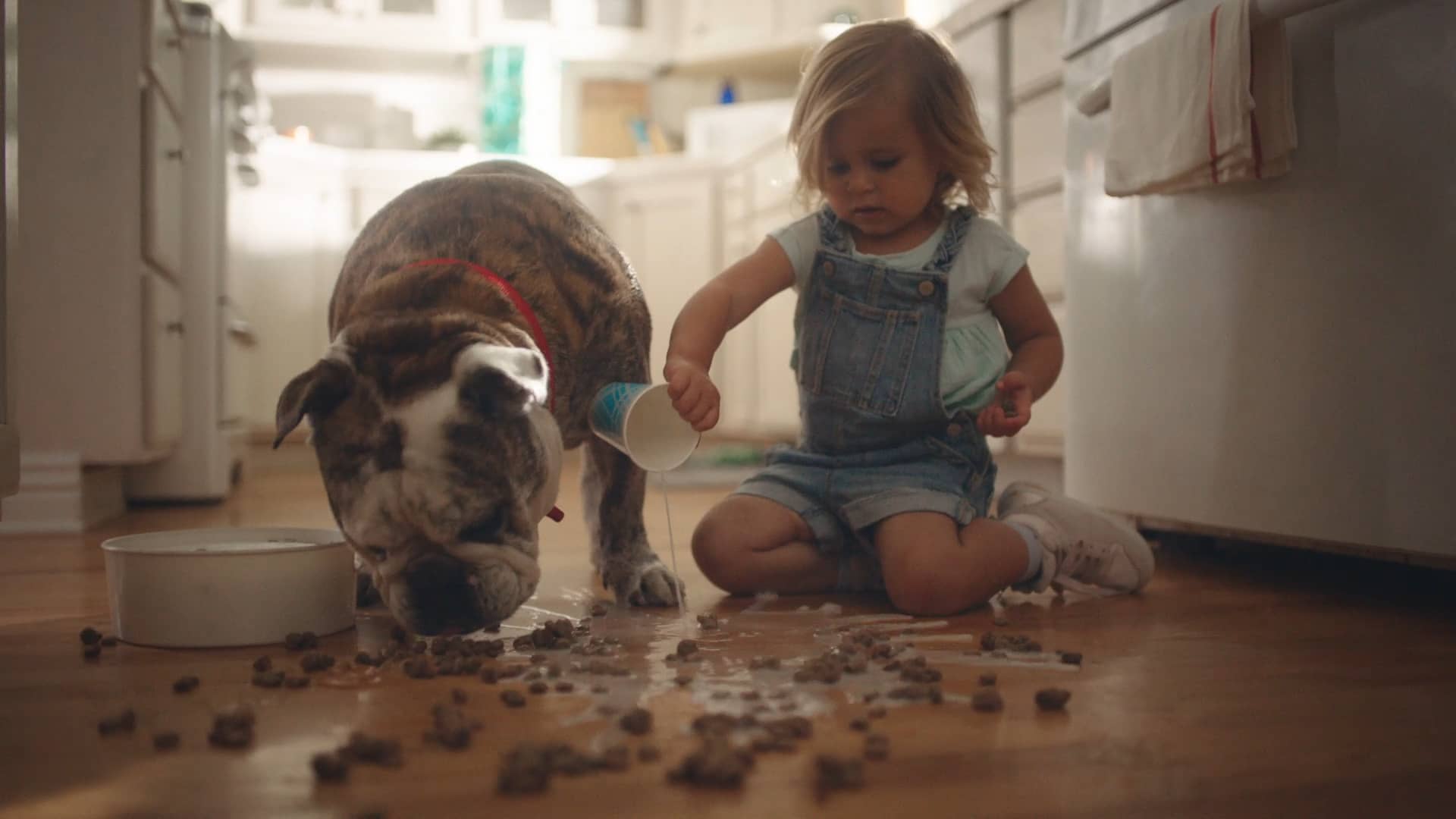 Clorox — Scentiva Mop, Dog Food (06) on Vimeo