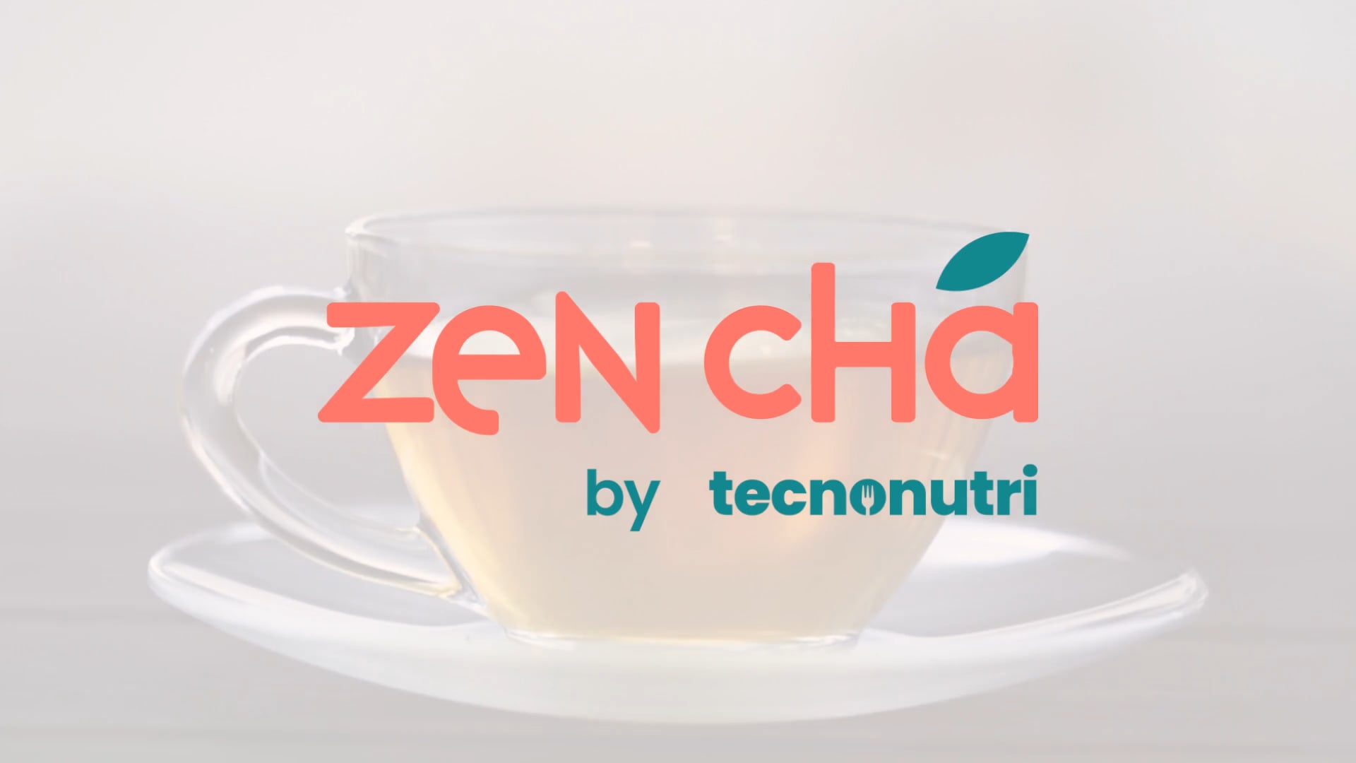 Zen Chá | Vídeo de lançamento
