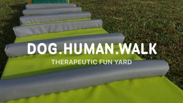 Dog Human Walk Therapeutic Fun Yard Teil 1