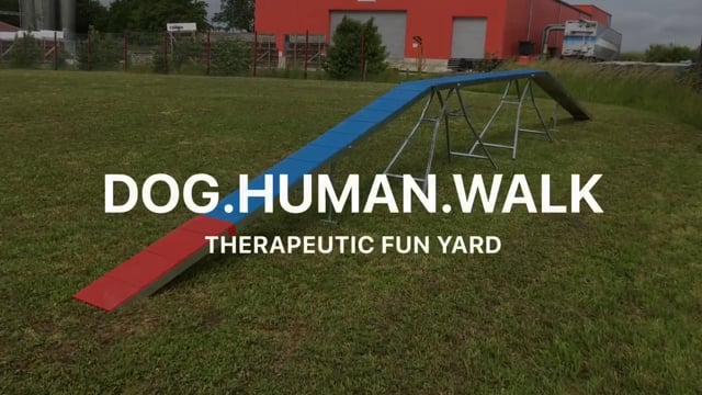 Dog Human Walk Therapeutic Fun Yard