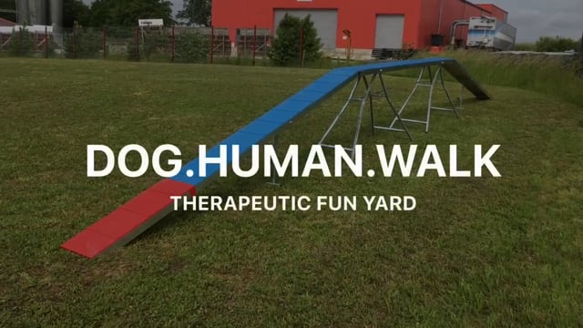 Dog Human Walk Therapeutic Fun Yard