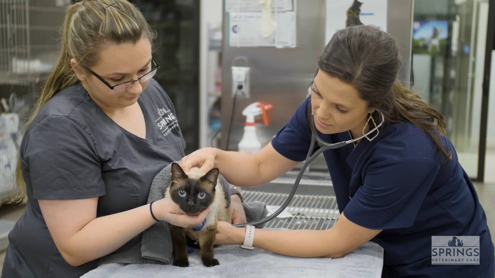 Springs Veterinary Care on Vimeo