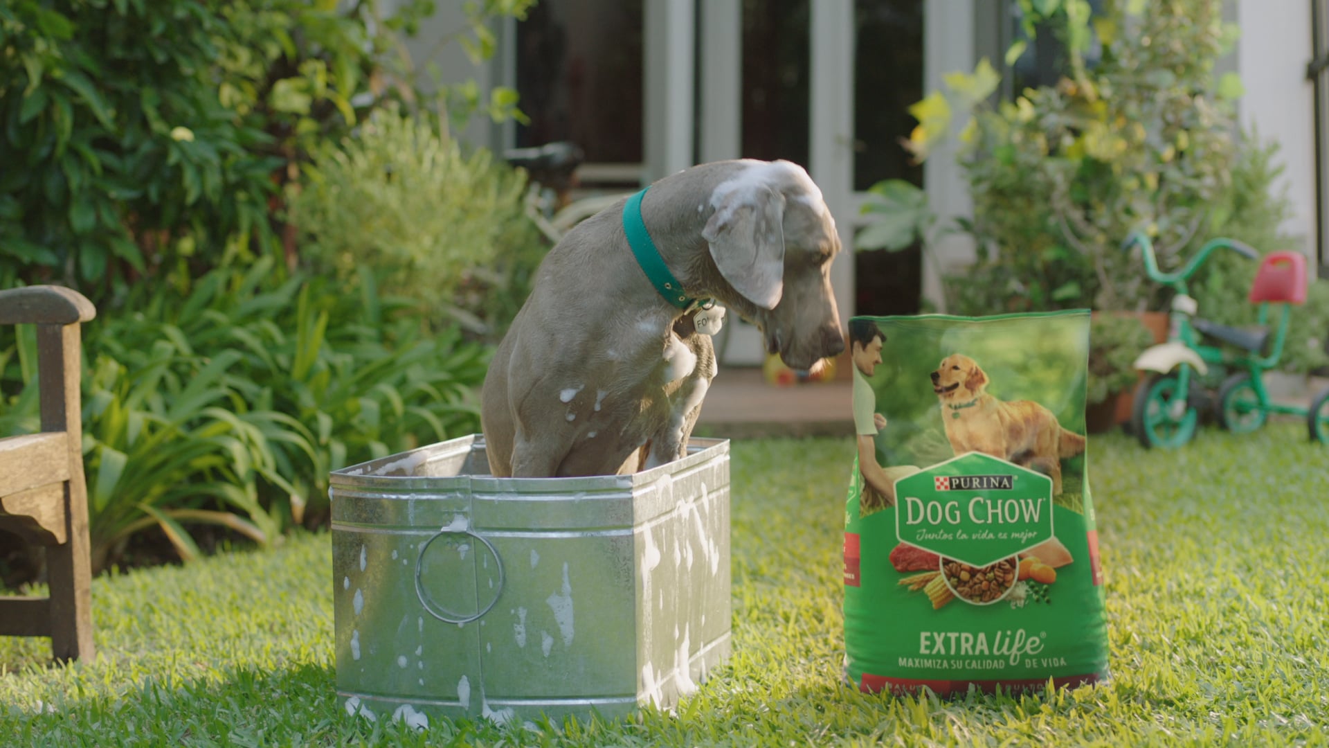 Purina Dog Chow | Joaquín Güiraldes