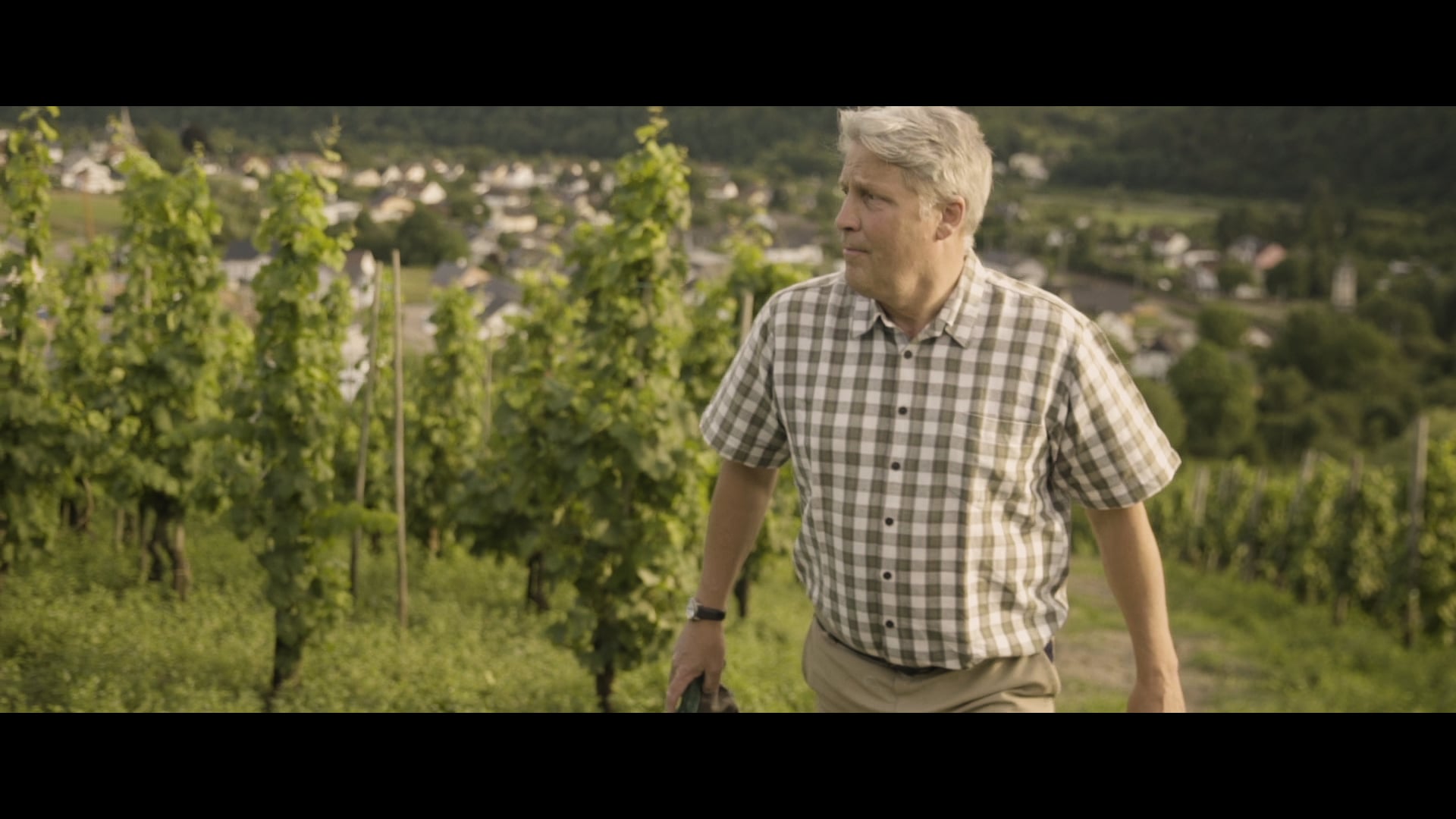 Serrig | Tor zum Saarwein