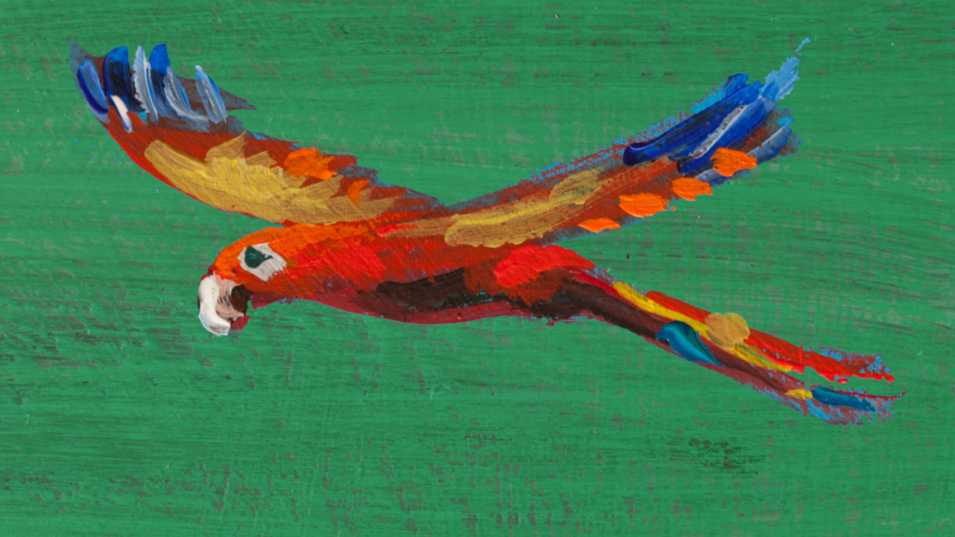 Bird-(msp)-1min15-2011