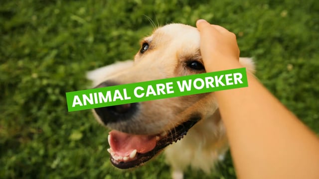 Animal care worker video 3