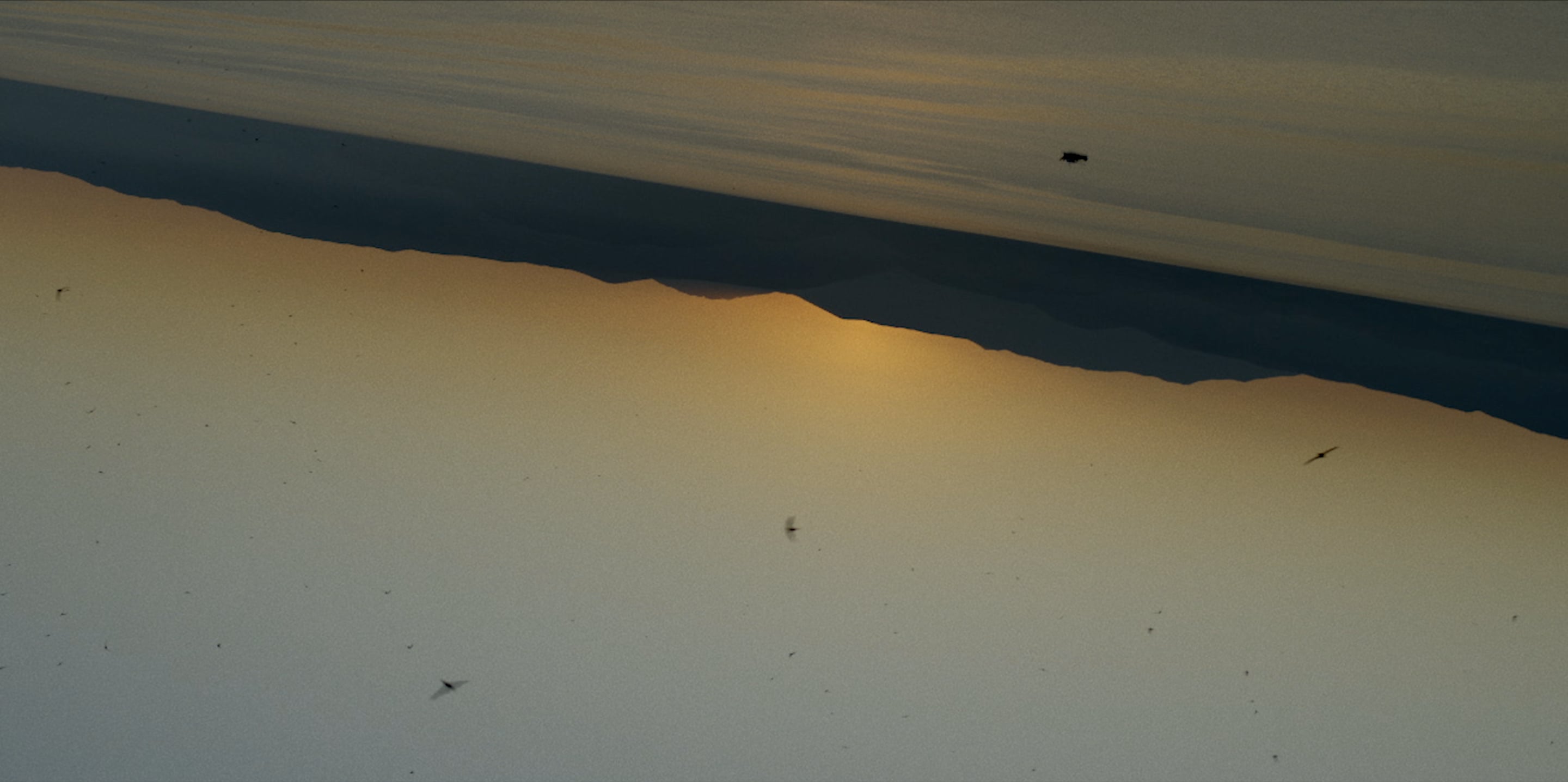 Corona | This is living