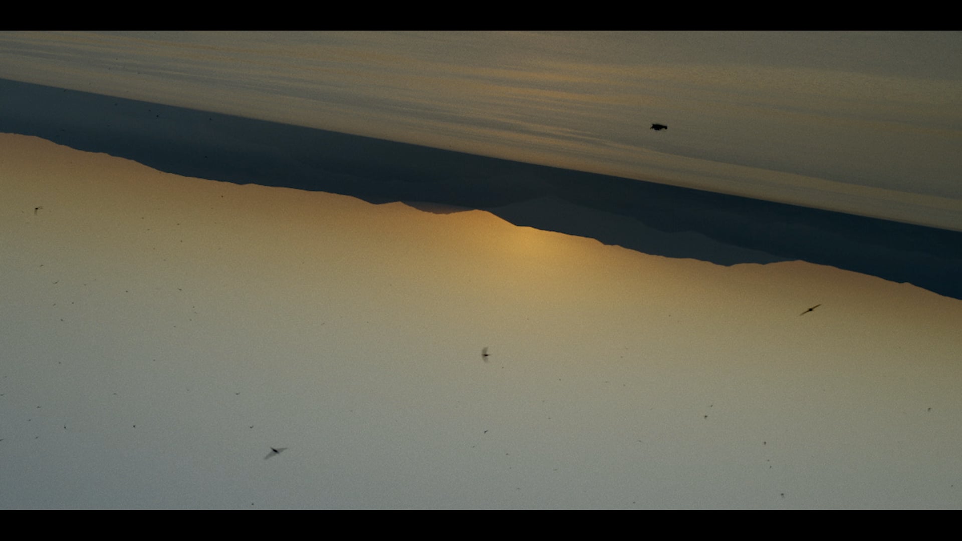 Corona | This is living