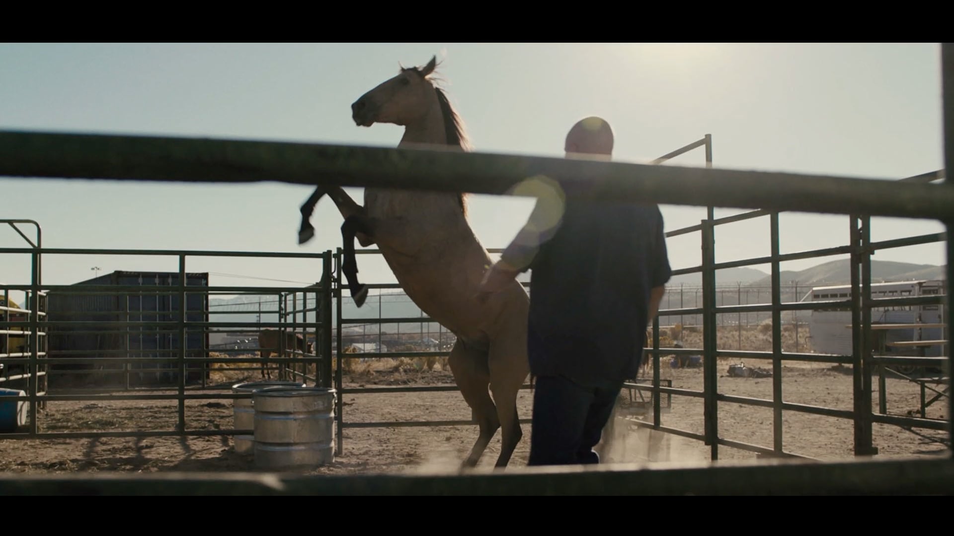 The Mustang - TV15 "Inspiring Review"