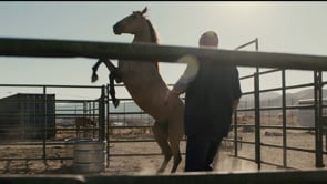 Focus Features - Customer Success Story