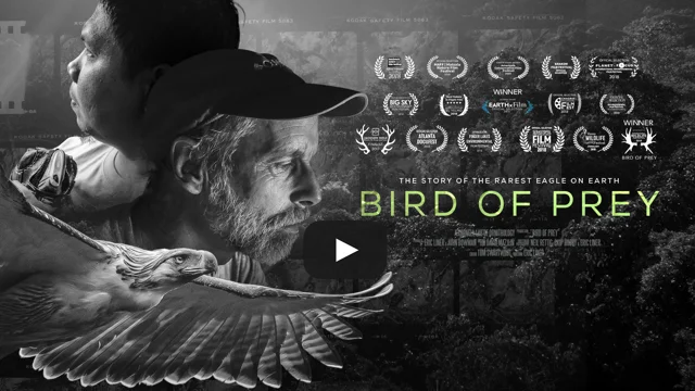 Birds of best sale prey free movie