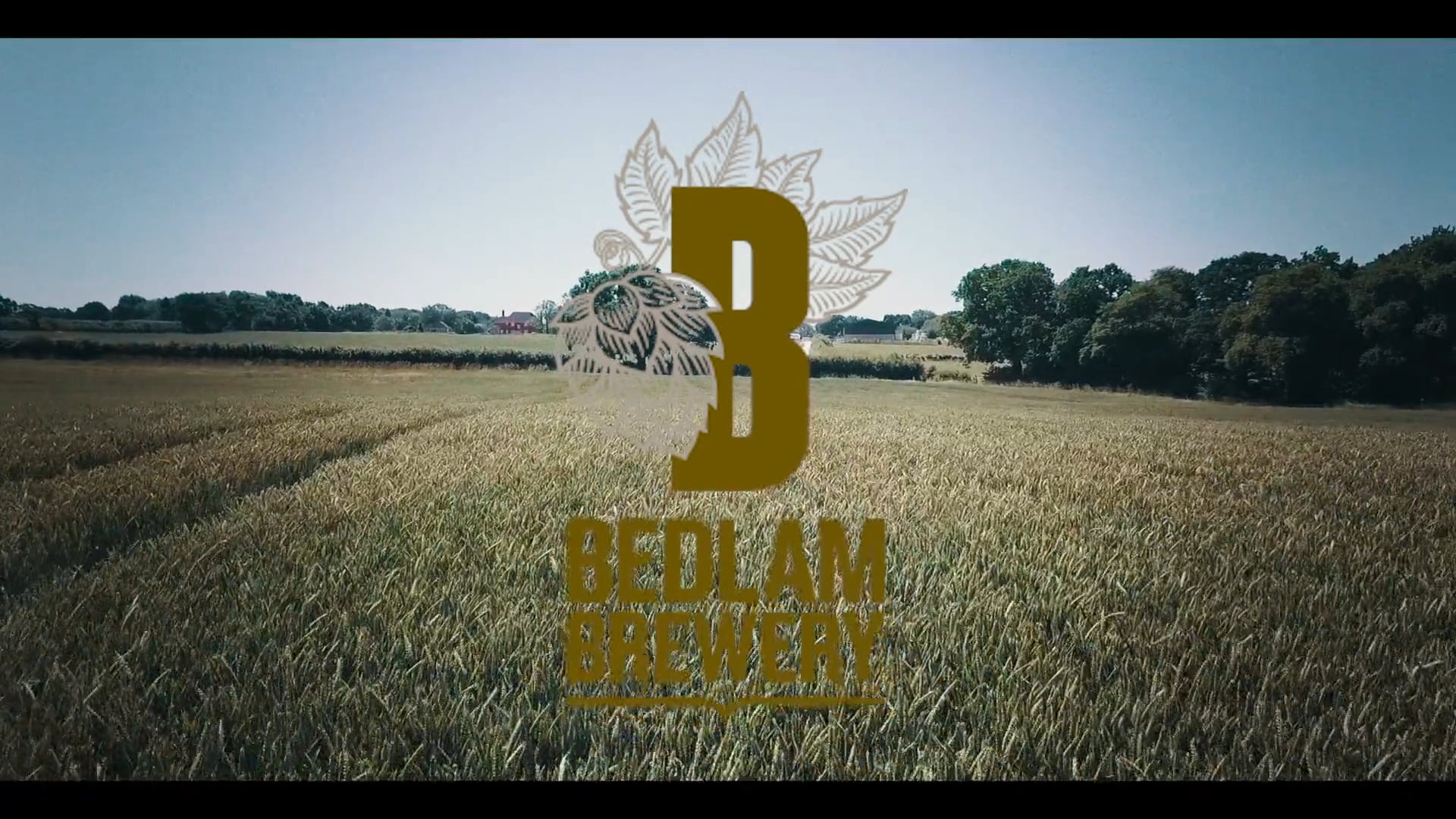 Bedlam_Investment_2019