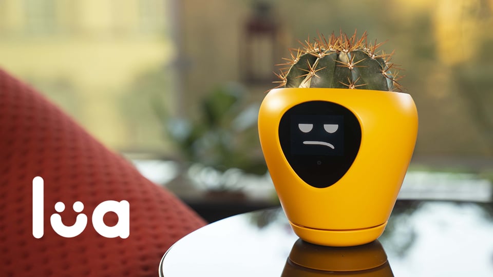 Lua, the smart planter with feelings!
