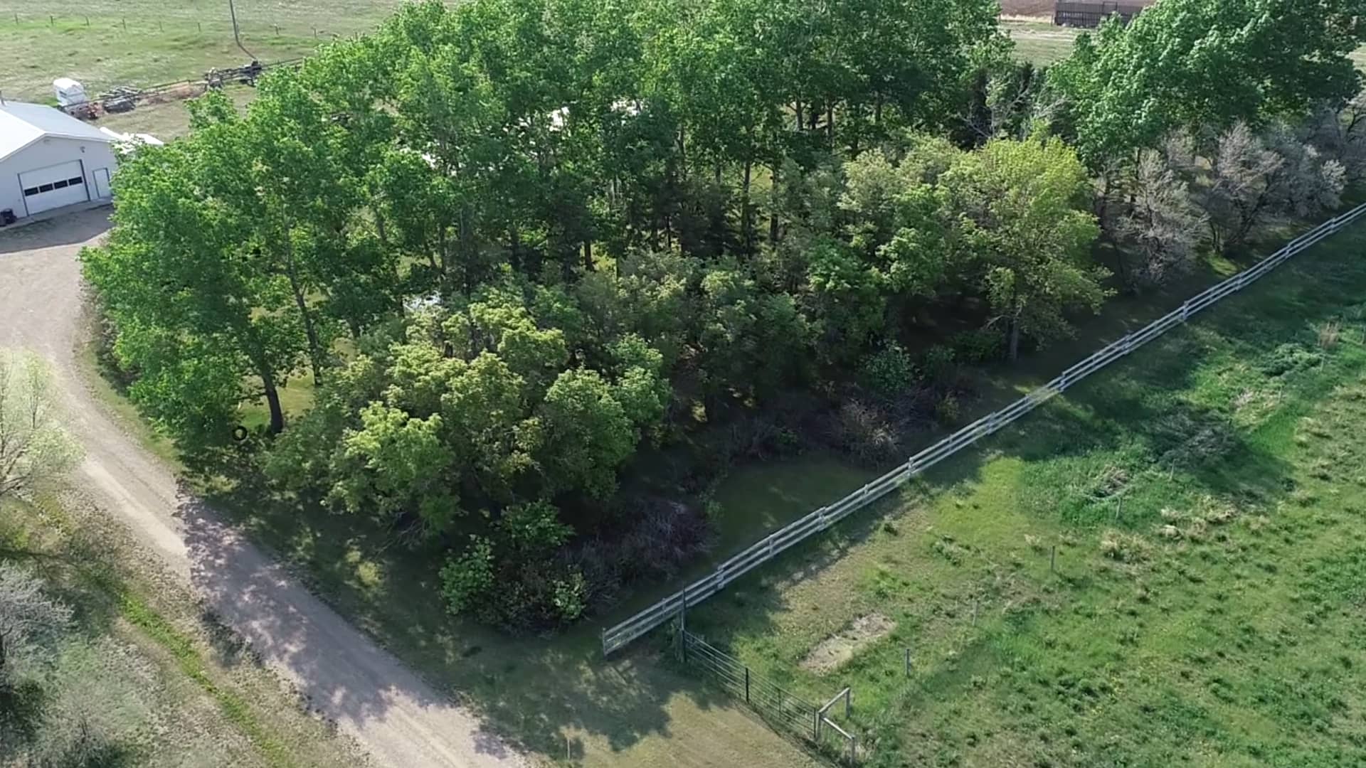 ID1100838 Serene Country Life, County of Newell AB on Vimeo