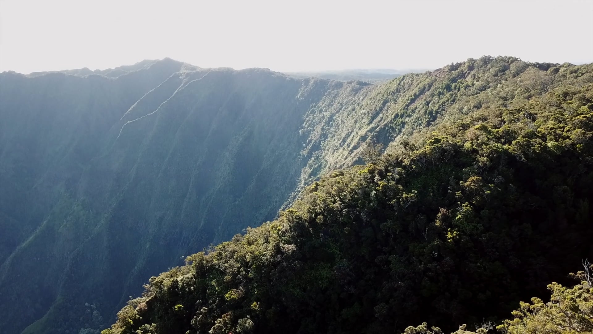 Waiamea Canyon and The Napali Coast (drone)