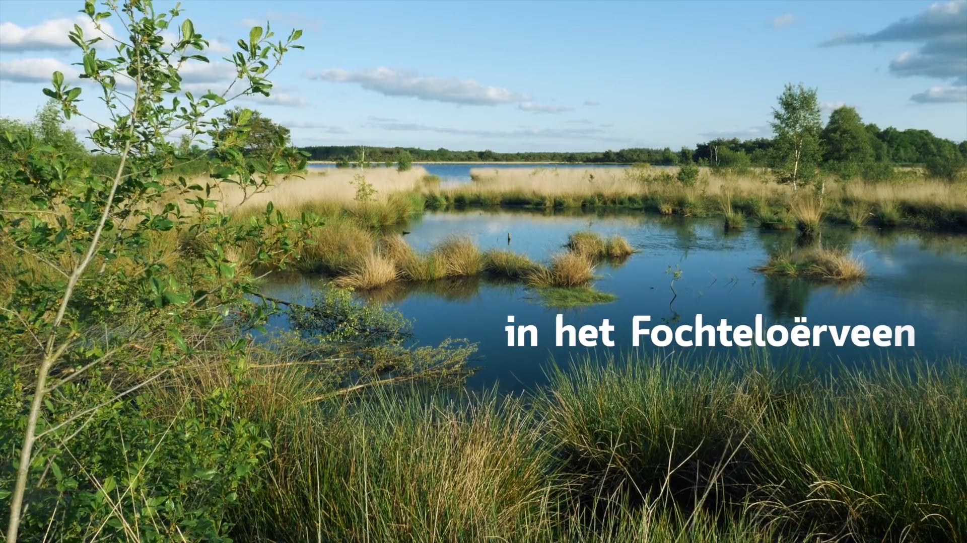 Tussen Behoud en Beleven: het Fochteloërveen met de boswachter