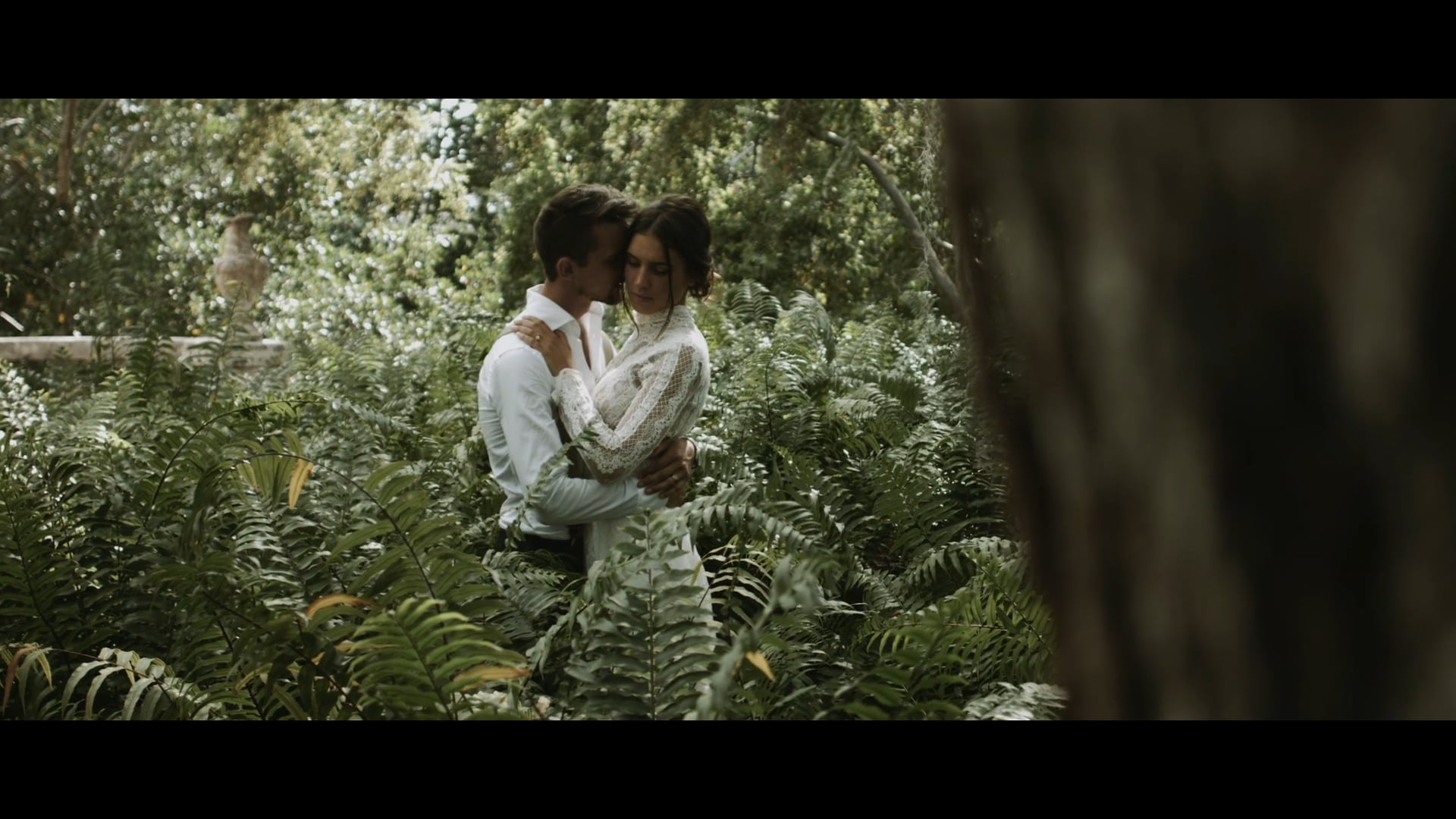 Jungle walk