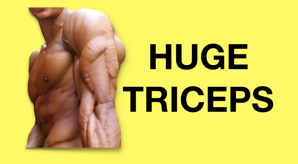 huge triceps