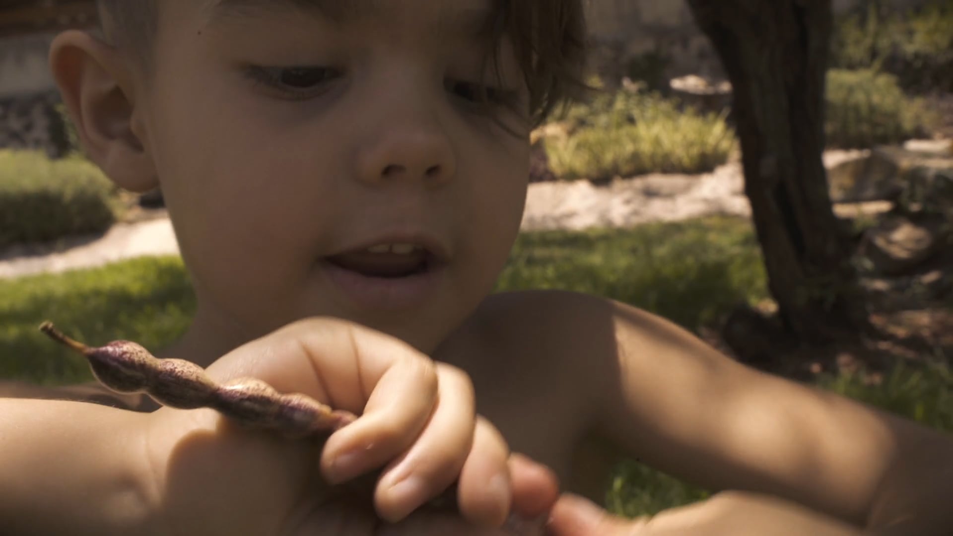Joaco Sobre el Mezquite.