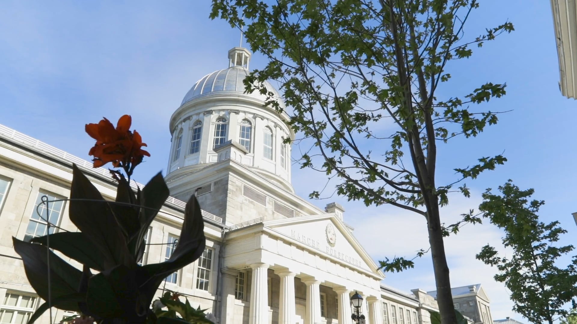Boutique Tapis Vert - Soirée de Lancement
