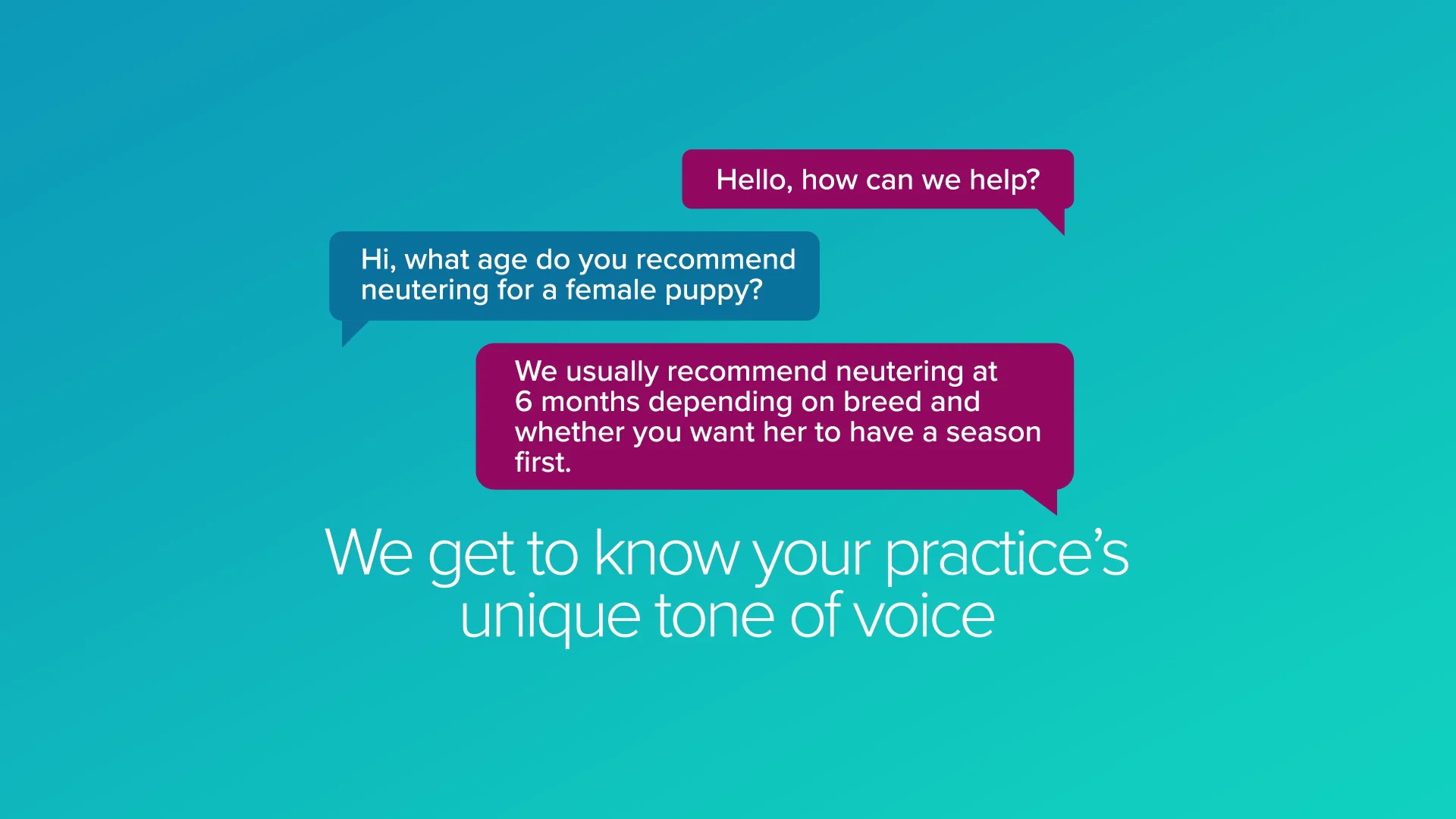 Vet Help Direct Live  Chat on Vimeo