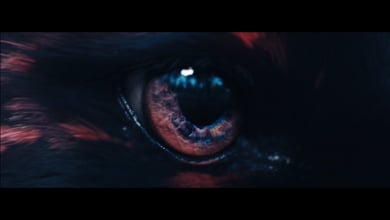 The Odd One Out  Forward Festival Main Title Sequence - #shortfIlm