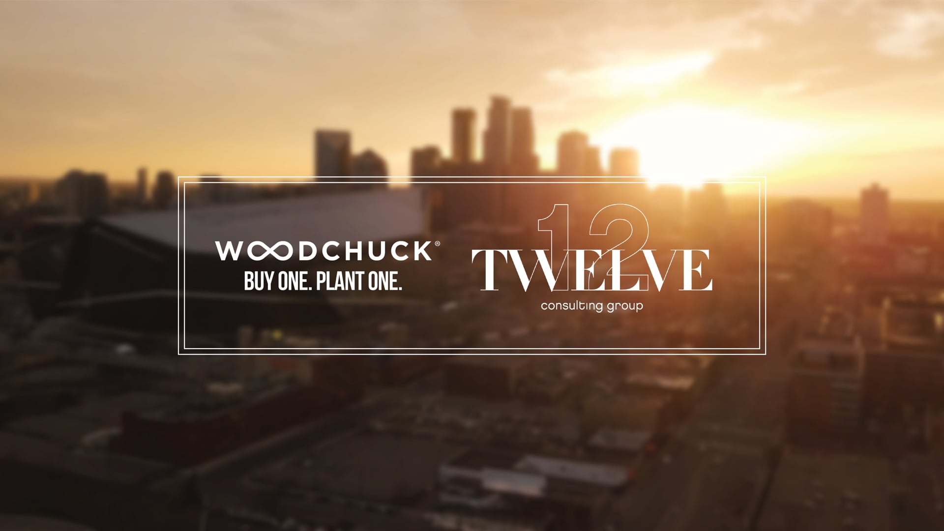Woodchuck & Twelve Partnership