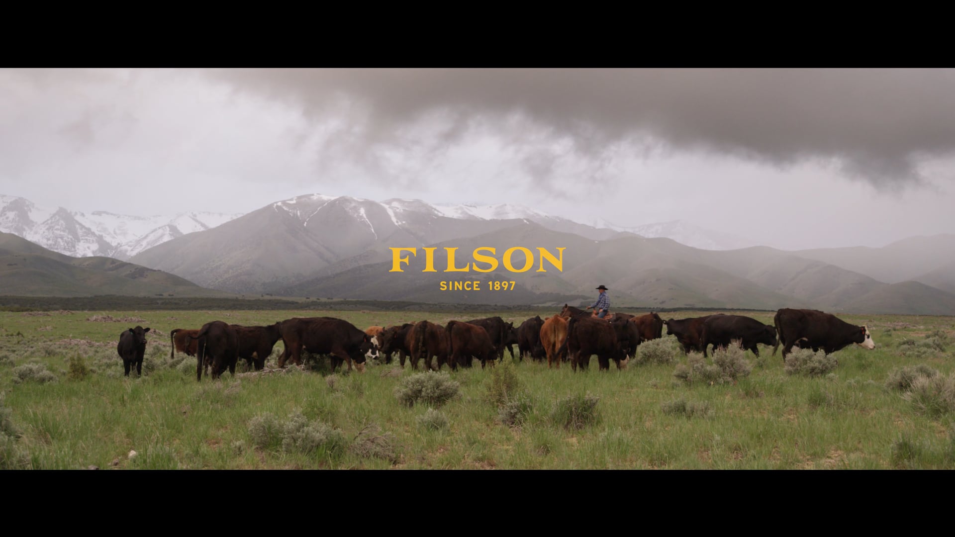 Apparel Brand Video