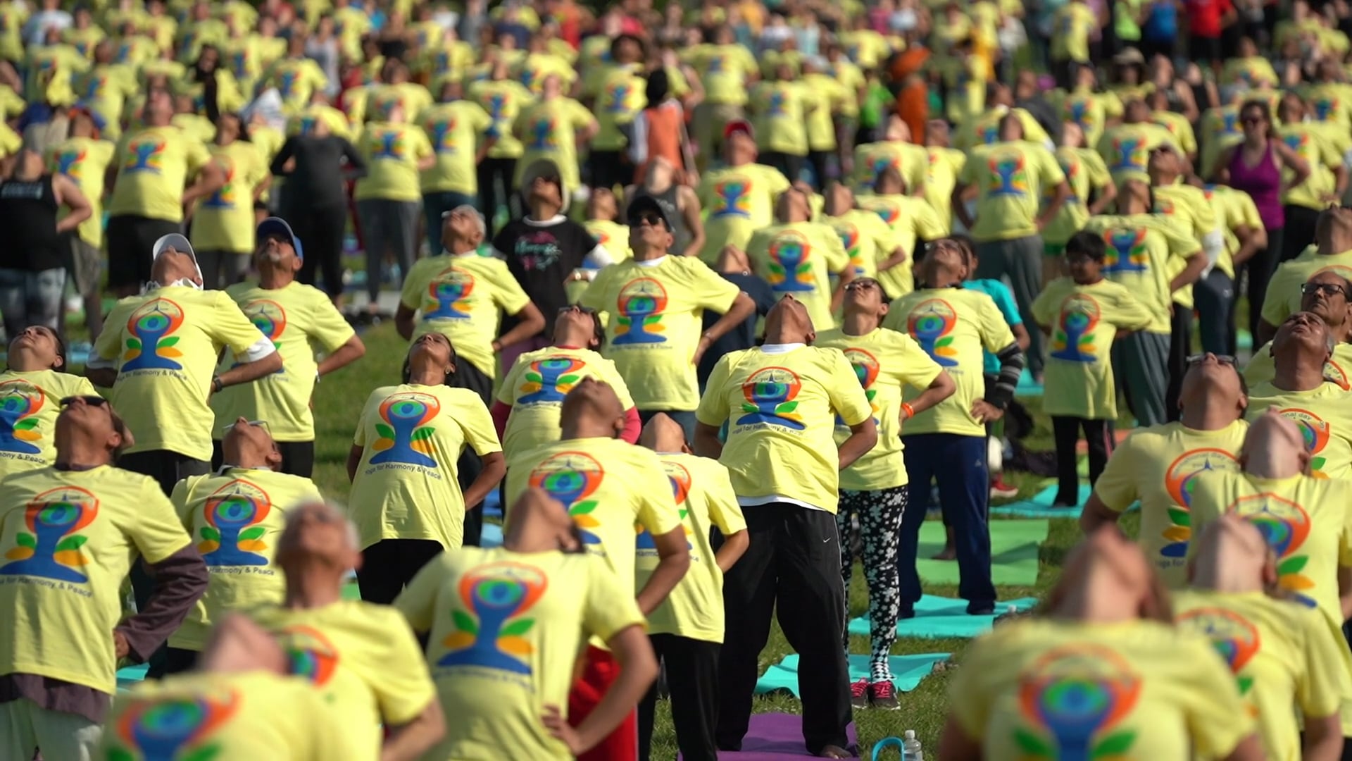 5th International Day of Yoga