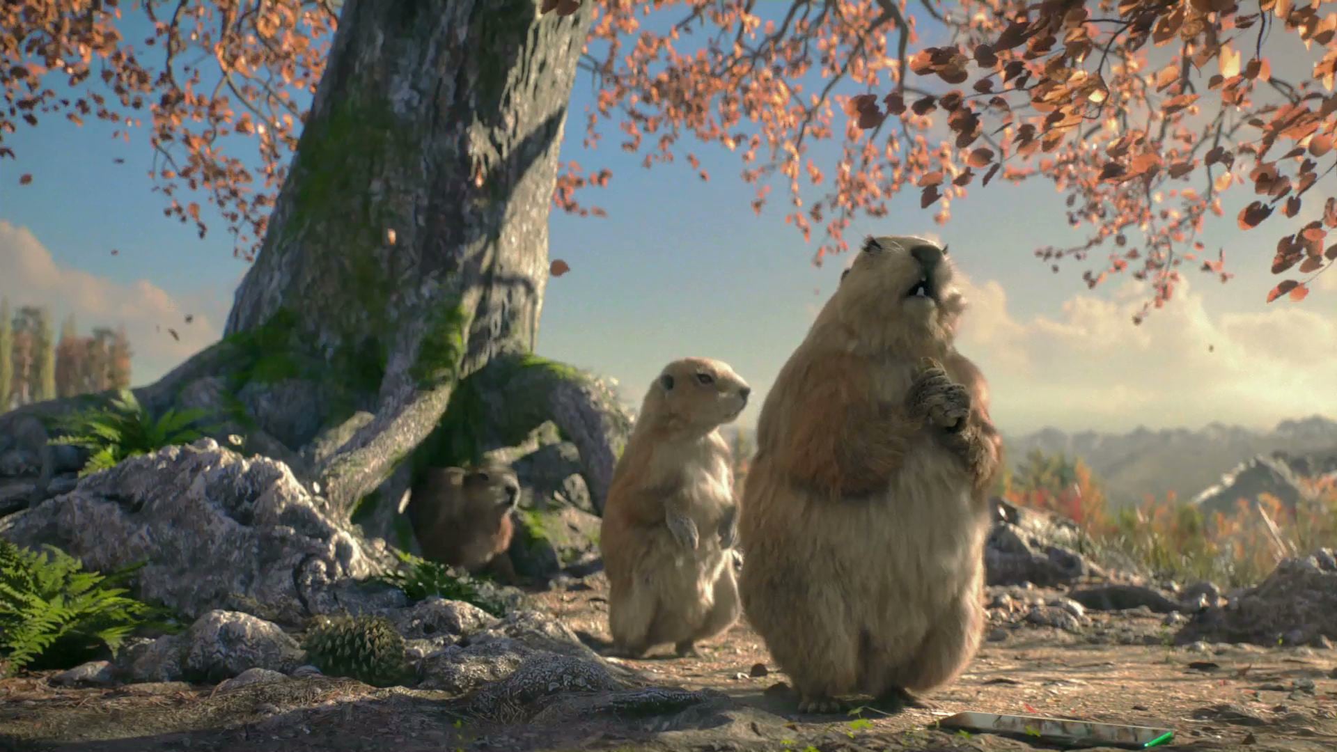 CG Reel 2019
