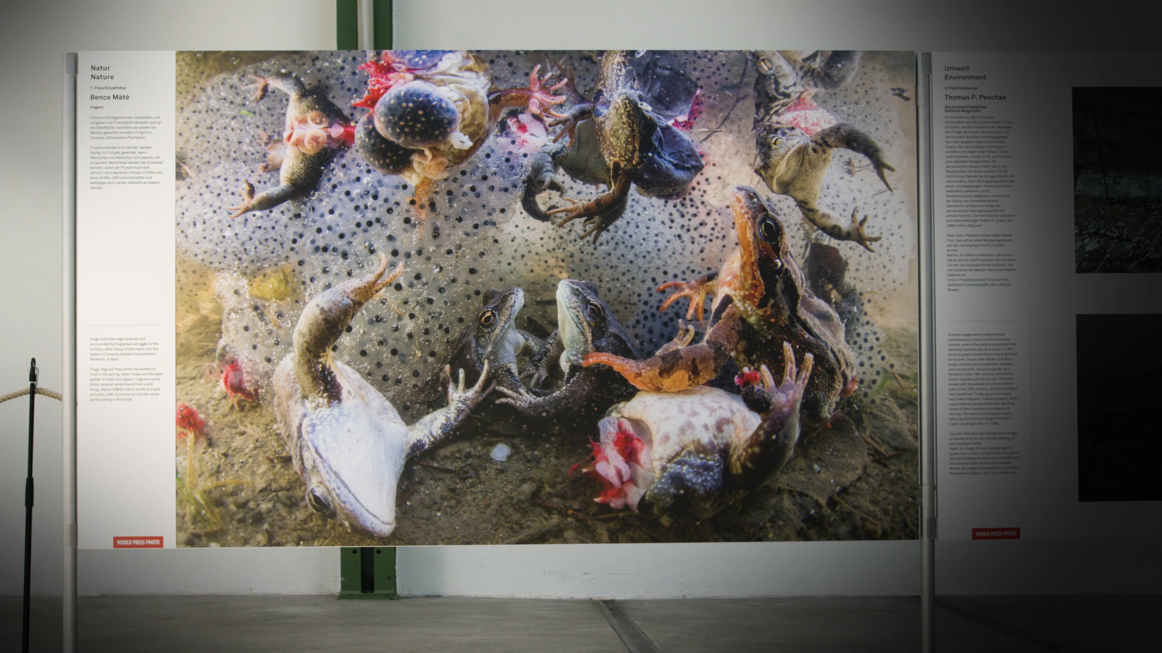 AD: World Press Photo 2019 | 4K UltraHD