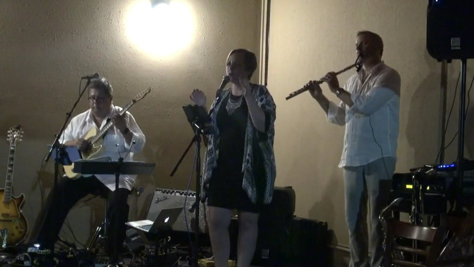 Promotional video thumbnail 1 for Rich Medel Guitarist, Rich & Sarah Duo