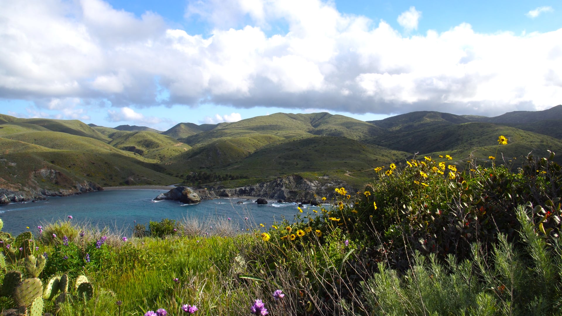 Catalina Marathon