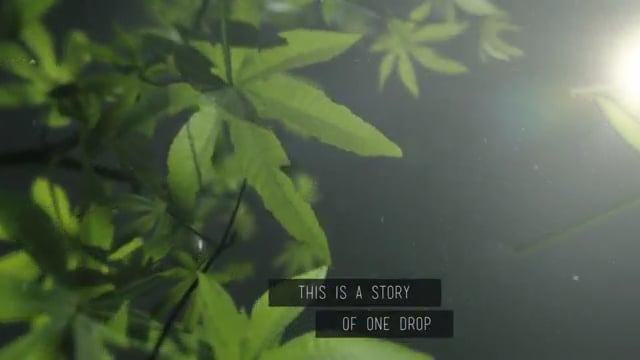 Senso - Story of One Drop