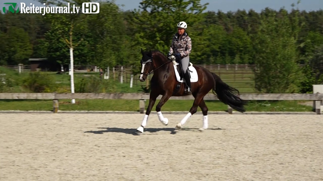 Richtig Reiten mit Uta Gräf u. Christoph Hess - Teil 1 von 2