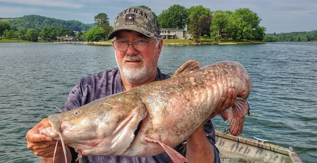 River Monsters: Catching Flatheads in the Current - Game & Fish