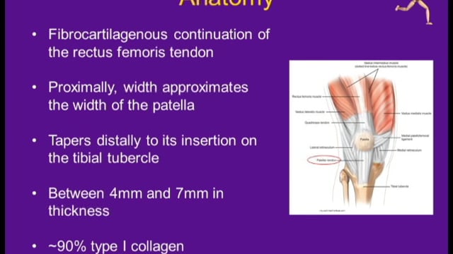 Chronic Patellar Tendon Reconstruction Multiple Cases - NYU Langone ...