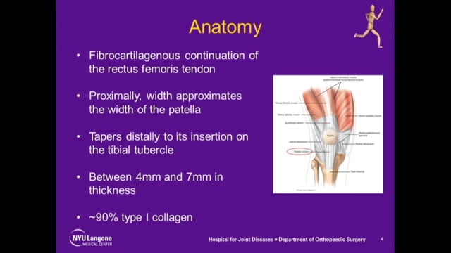 Chronic Patellar Tendon Reconstruction Multiple Cases