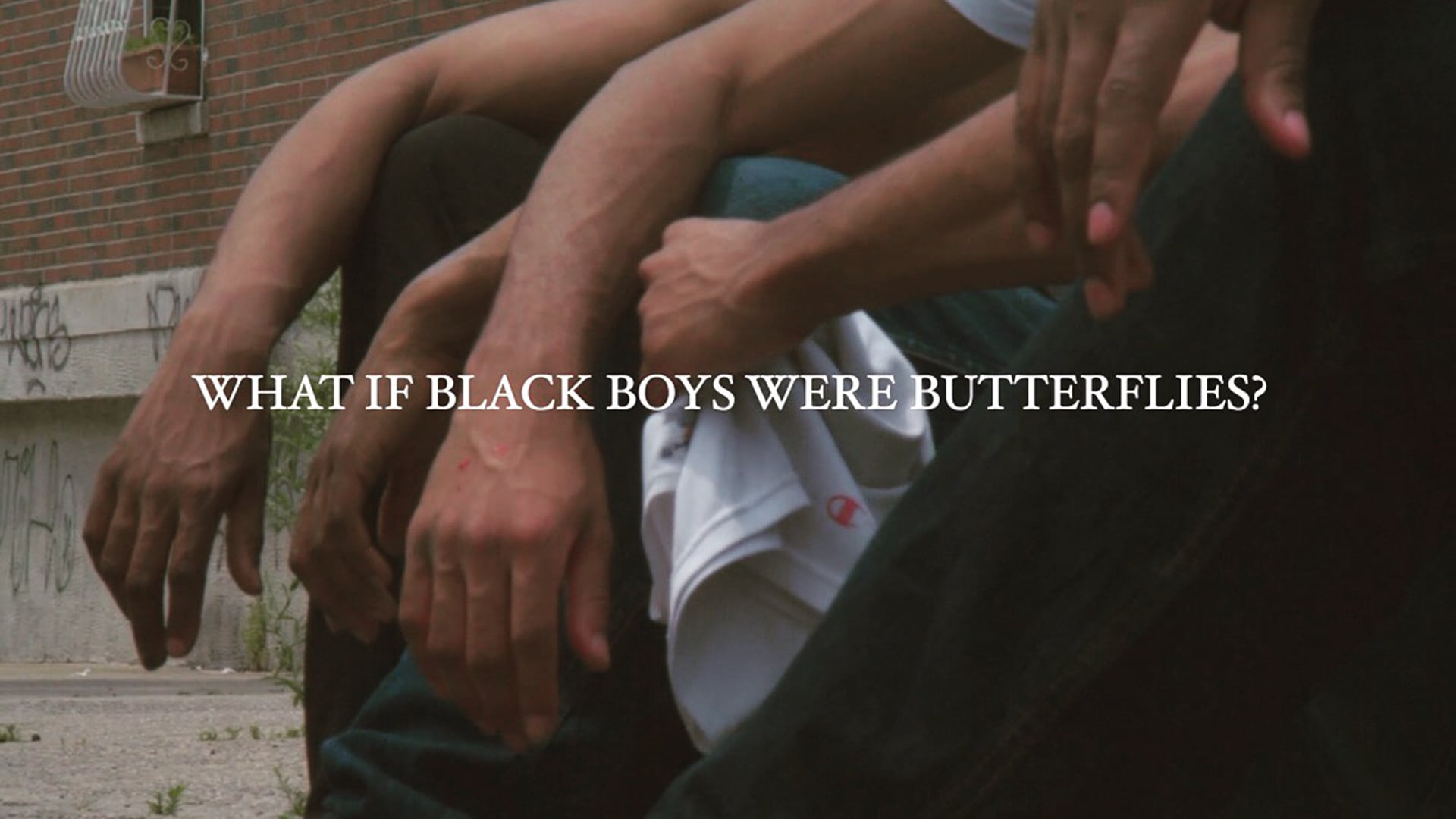 WHAT IF BLACK BOYS WERE BUTTERFLIES?