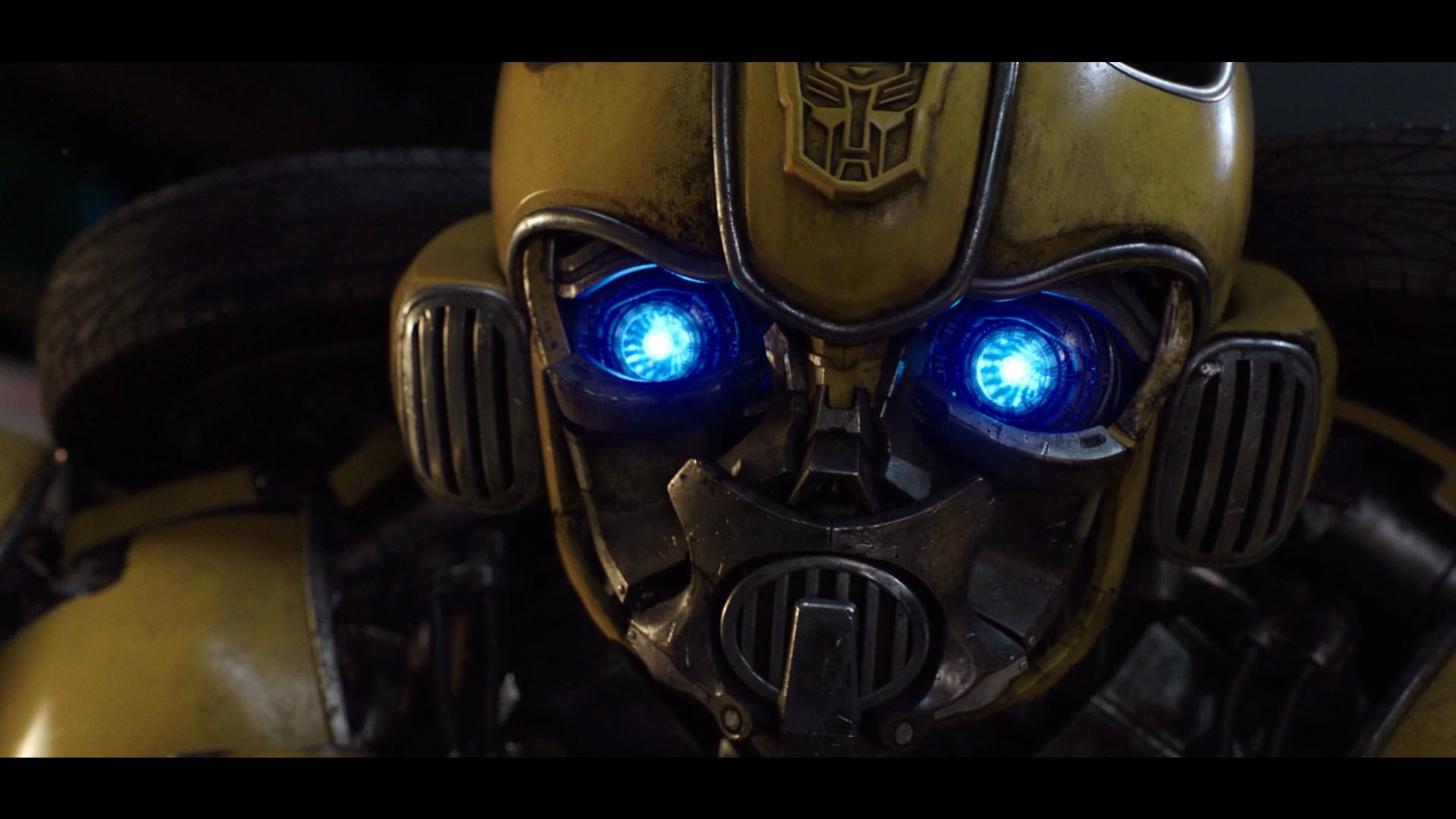 Bumblebee - TV30 "Amnesia"