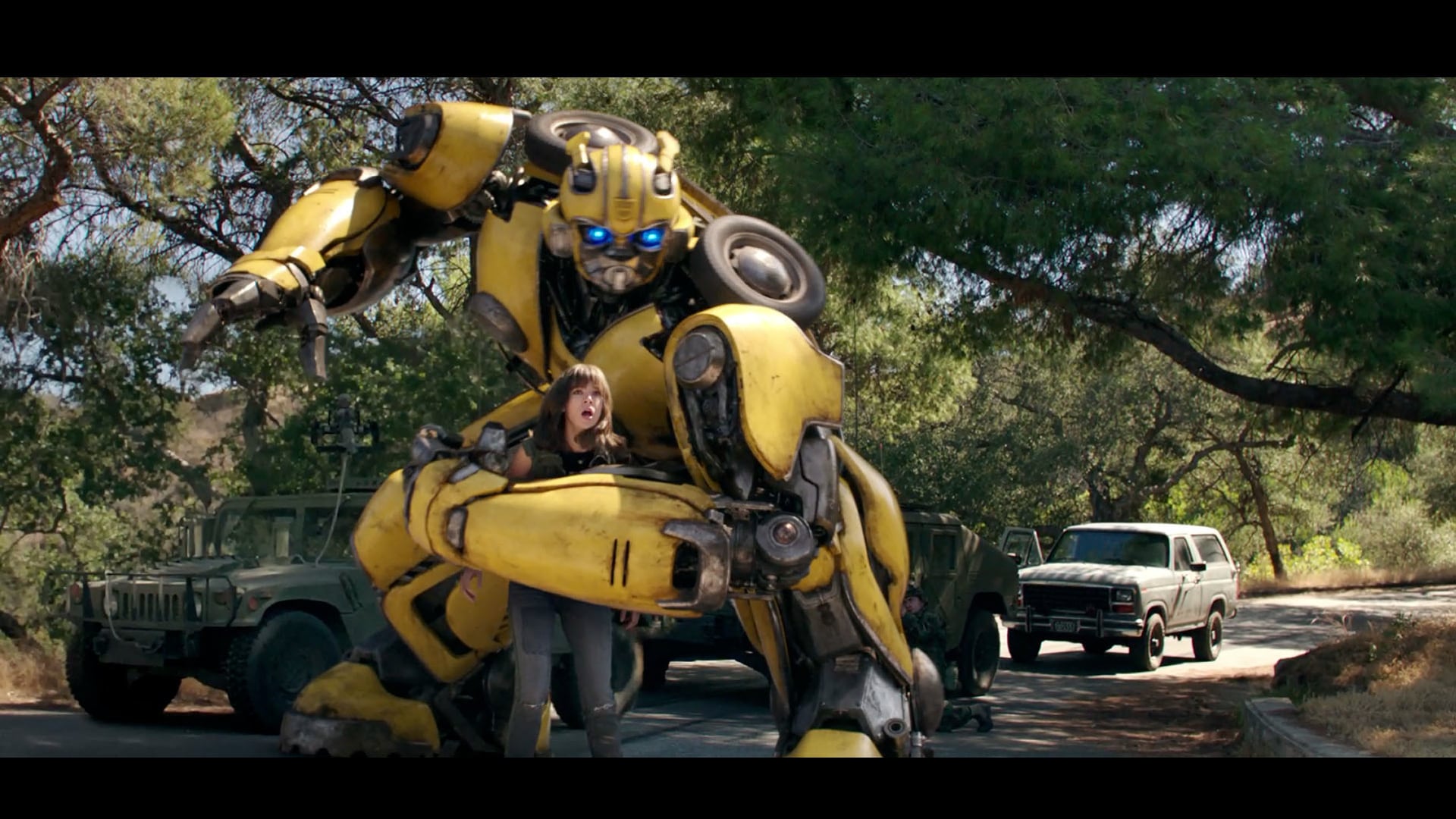 Bumblebee - "Friendship 30 Early Access"