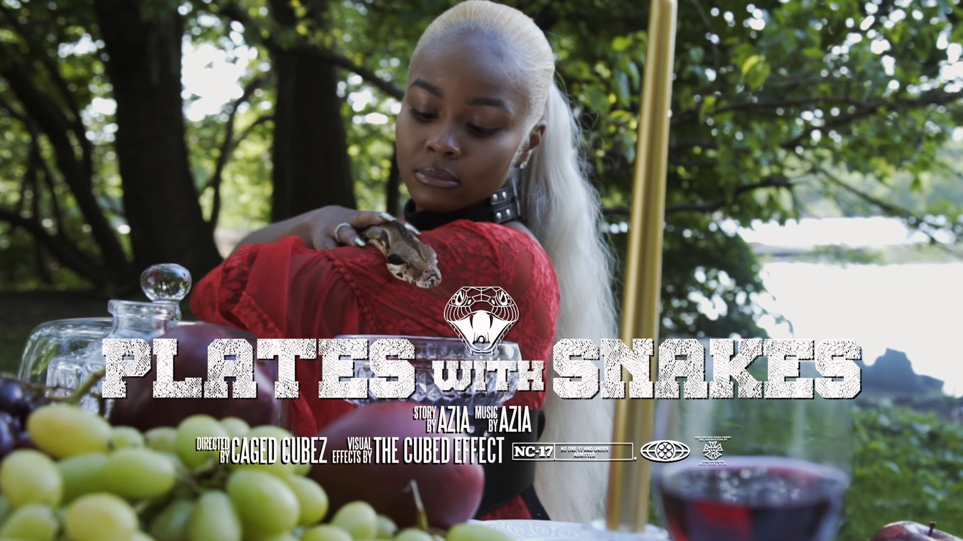 Plates With Snakes