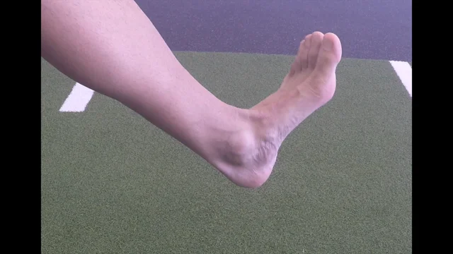 VIDEO) ▶️ Ankle mobility: dorsiflexion, plantar flexion – exer-pedia