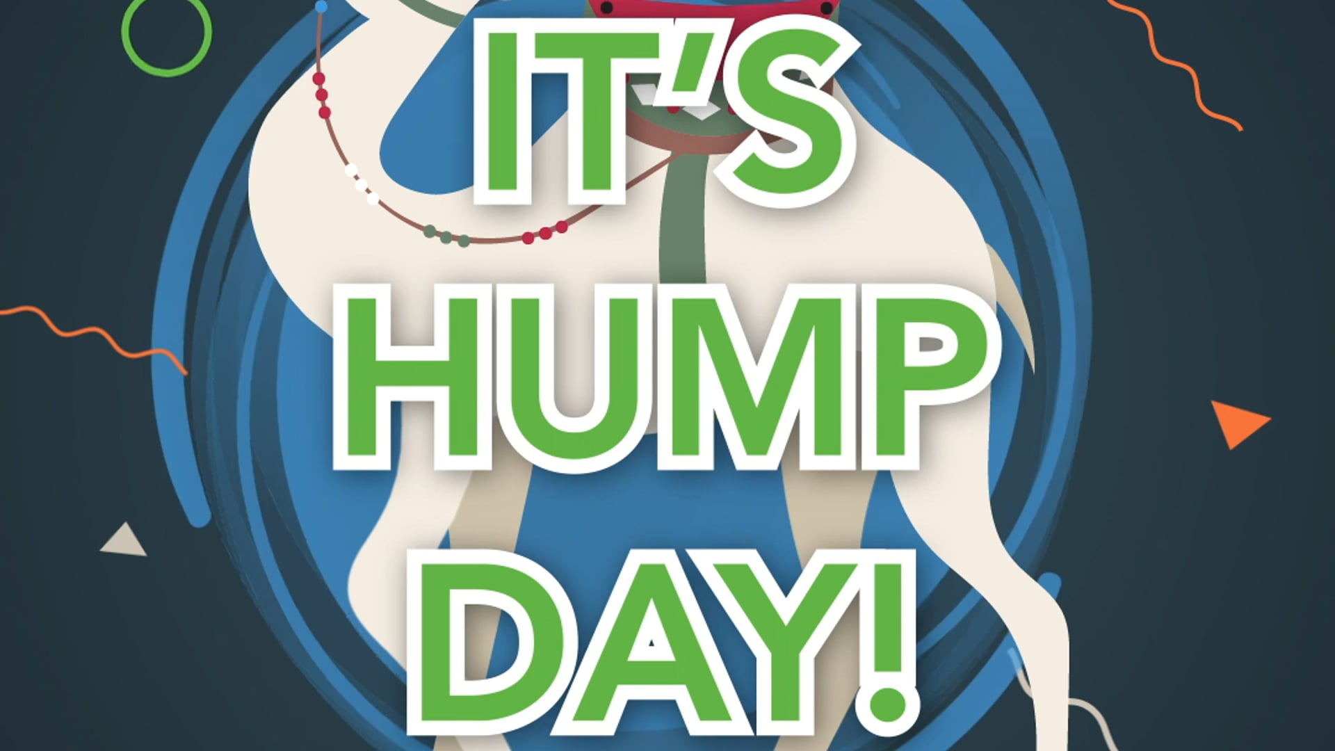 Hump Day - Social Media Animation