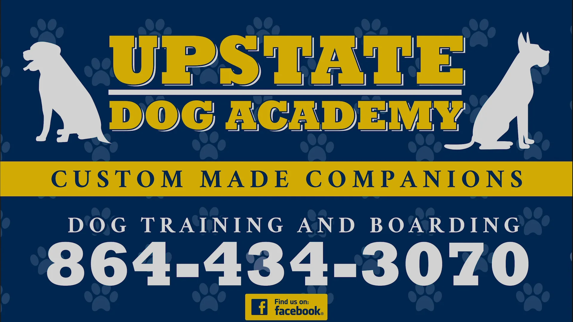 Upstate dog shop training and boarding