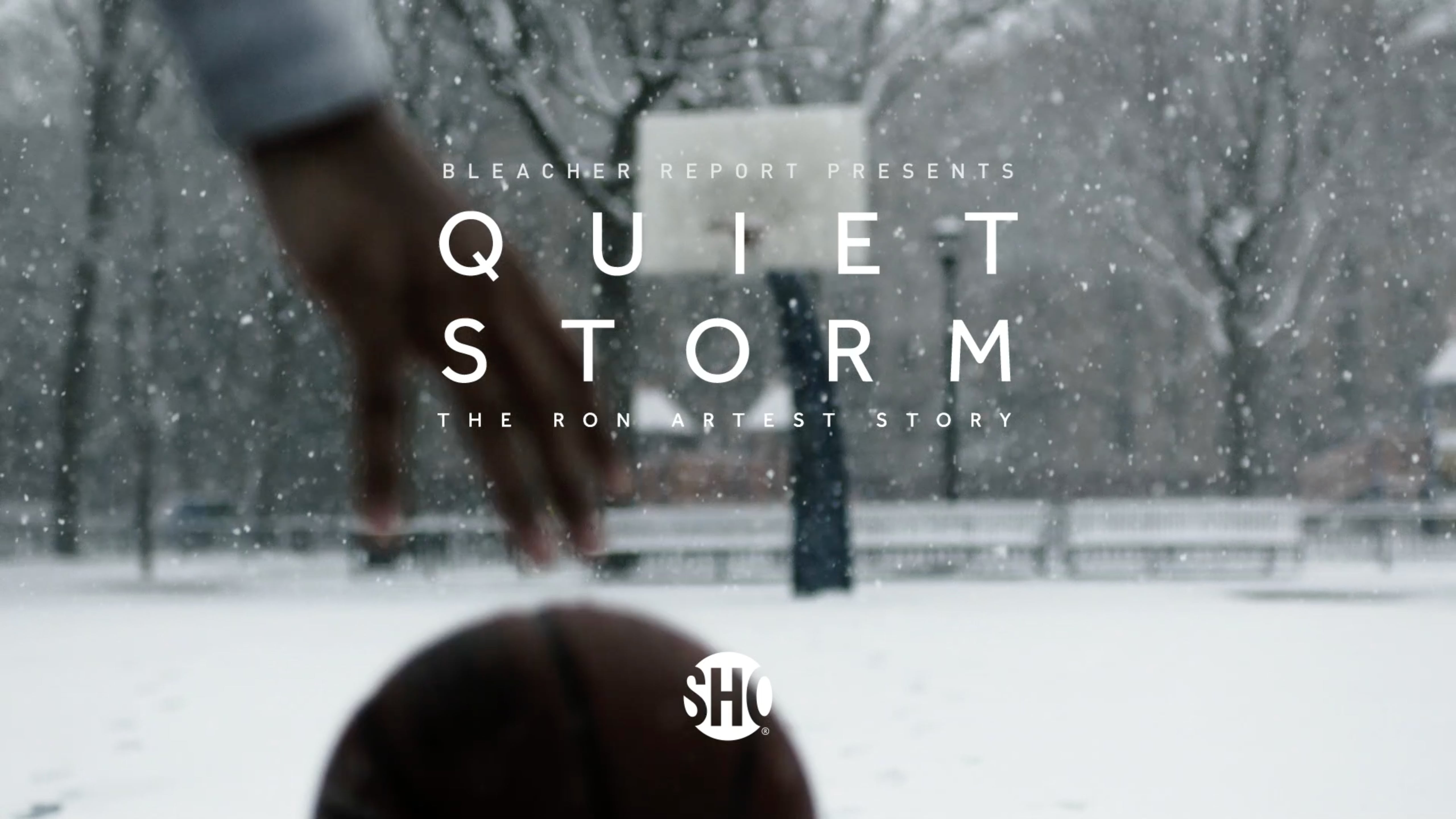Quiet storm the ron artest story stream store