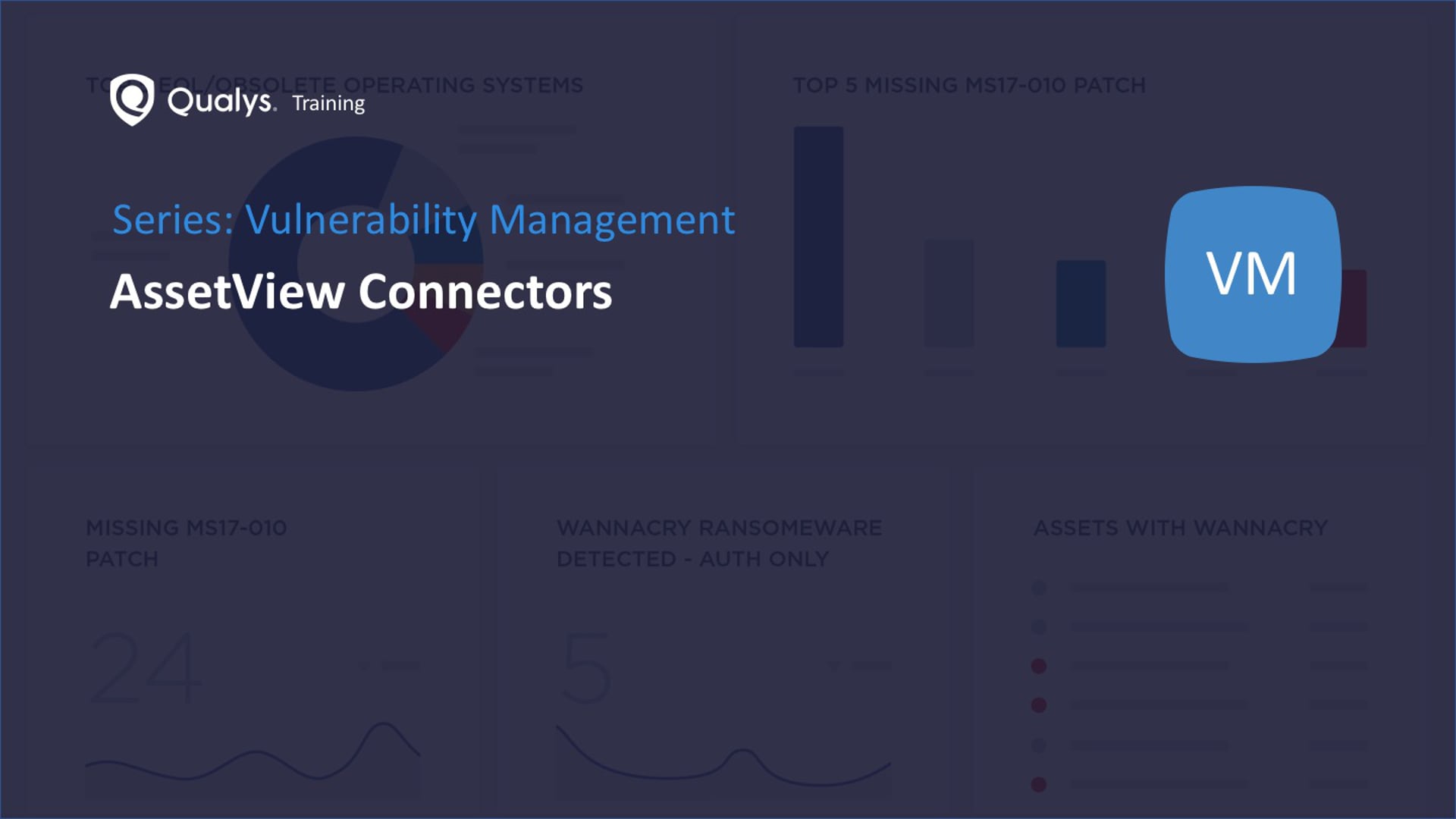 AssetView Connectors