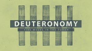 Five Weeks in the Torah – Deuteronomy
